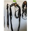 Image 4 : Rope, leads, leather snap-ons, light horse harness, handy horse bridle, parts of a light horse harne