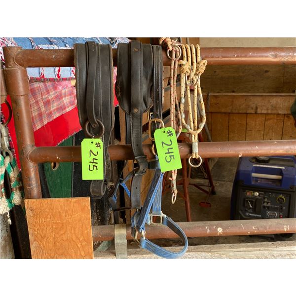 2- Stud handles, halter & collar pads