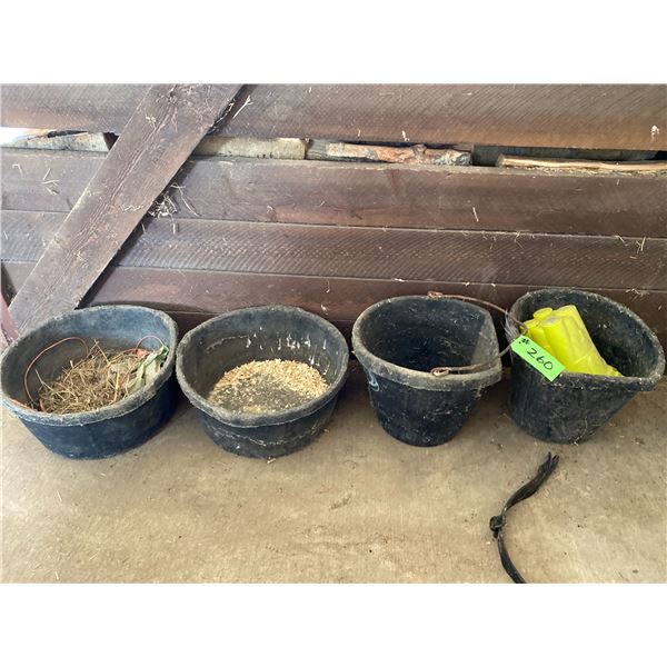 2- Feed buckets, 2- Feed pails