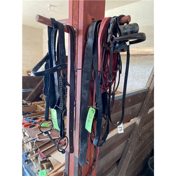 Qty of bridles & bits