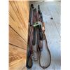 Image 4 : Qty of latigo, tiedown & misc. belts