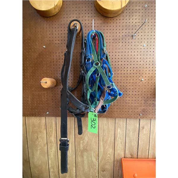 Qty of halters, a draft halter & tiedowns