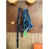 Image 1 : Qty of halters, a draft halter & tiedowns