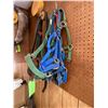 Image 2 : Qty of halters, a draft halter & tiedowns