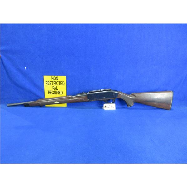Non-Restricted - Remington Nylon 66 in 22 LR