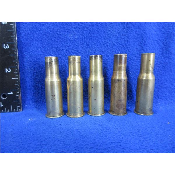 Brass Only - 577/450 Kynoch Unprimed - Bag of 5