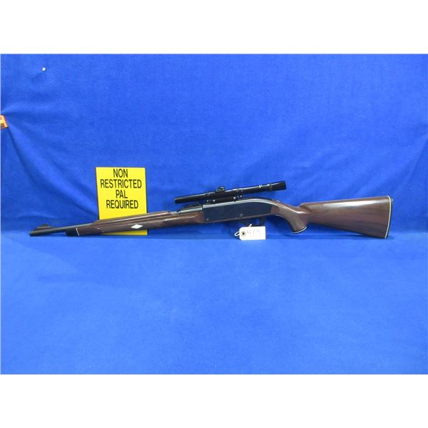 Non-Restricted - Remington Nylon 66 in 22 LR