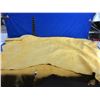 Image 2 : Elk Hide - 18 Square Ft