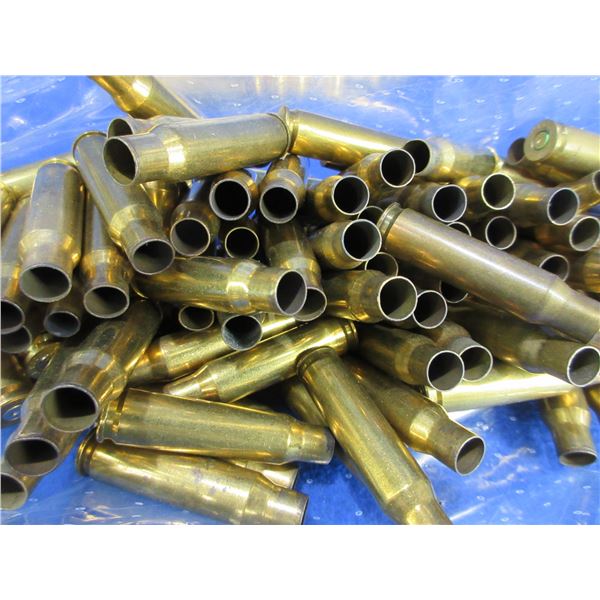 Brass Only - 308 Win. Unprimed - 2 Bags of 100