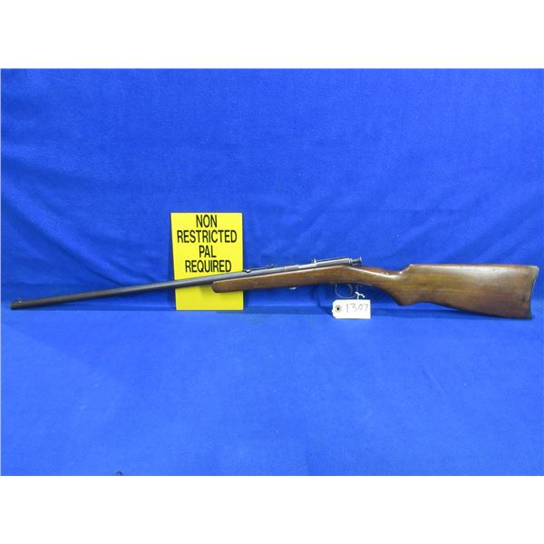 Non-Restricted - Trail Blazer Single Shot in 22 S/L/LR