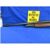 Image 4 : Non-Restricted - Mossberg Model 500 in 20 Ga. 2 3/4" /3"
