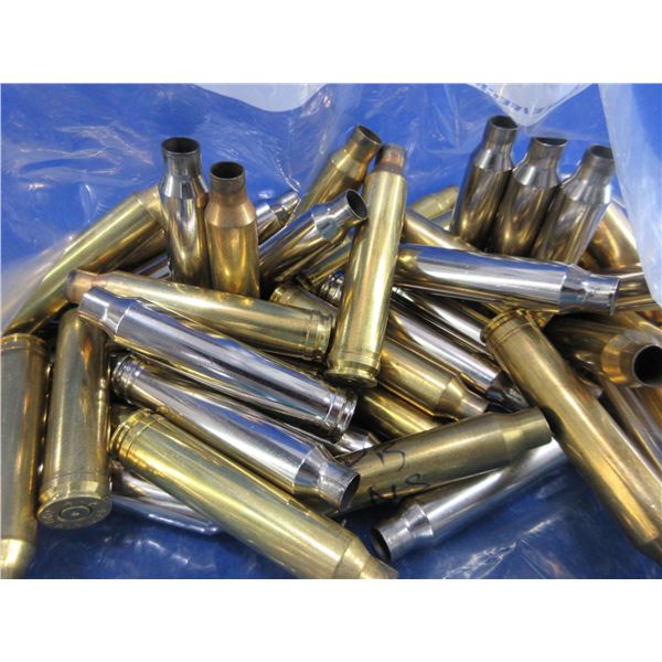 Brass Only - 300 Win. Mag Unprimed - Bag of 50