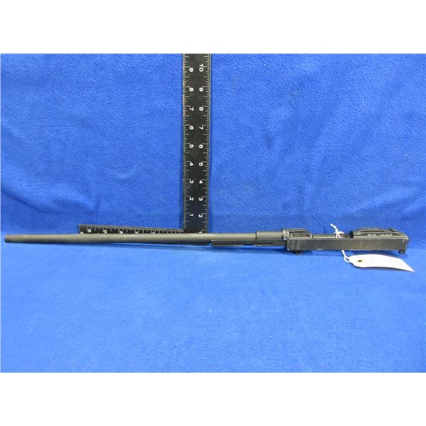 Now Banned By Trudeau - Chiappa M1-22 in 22LR