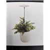 Image 2 : LORDEM Grow Light with Adjustable Height and Timer Features