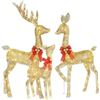 Image 1 : Hoyechi 3-Piece Lighted Christmas Deer Set with 210 LED Lights