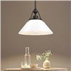Image 1 : White Pendant Light, Model 5HY589MIL-G BK