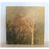 Image 1 : ART CANVAS PRINT, TREES IN BROWN HUES; 20" x 20"