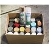 Image 1 : LOT OF SPRAY PAINTS