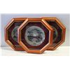 Image 1 : 3 HEXAGON FRAMED PHOTOS