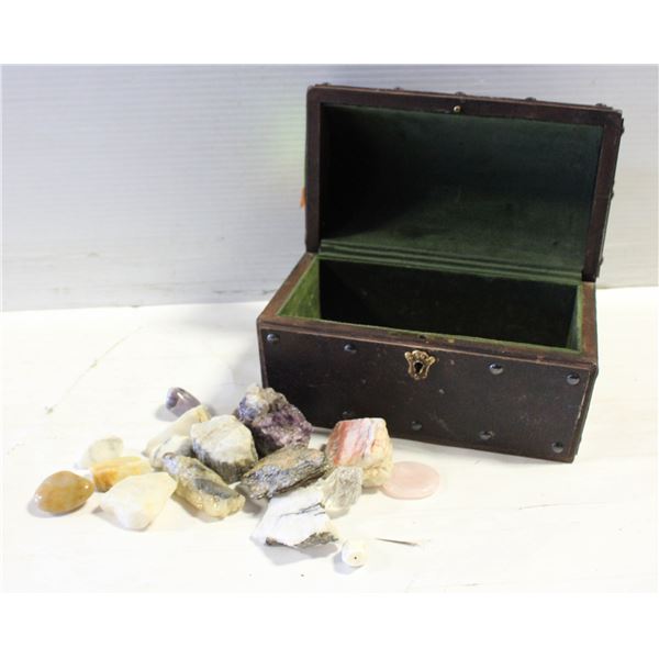 VINTAGE WOOD TRUNK CASE WITH SPECIMEN