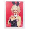 Image 1 : NEW DOLLY PARTON REPLICA PLAYBOY COVER METAL SIGN