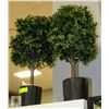 Image 1 : NEW PAIR OF ARTIFICIAL PLANT TOPIARIES