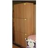 Image 1 : SET OF 3 WOODTONE STORAGE CABINETS