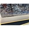 Image 2 : Framed National Geographic Photographs