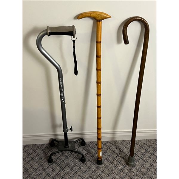 3 Canes