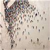 Image 2 : Populus: Hush (David Bowie) by Alan, Craig