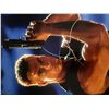 Image 1 : Jean-Claude Van Damme signed movie photo