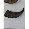 Image 2 : (2) Decorative Hollow Horns
