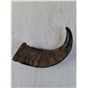 Image 3 : (2) Decorative Hollow Horns