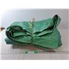 Image 1 : Green Tarp