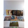 Image 1 : (10) Vinyl Records