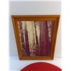 Image 2 : Hard Chair Cushion and Framed Forest Art Print
