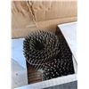 Image 2 : Coil Framing Nails