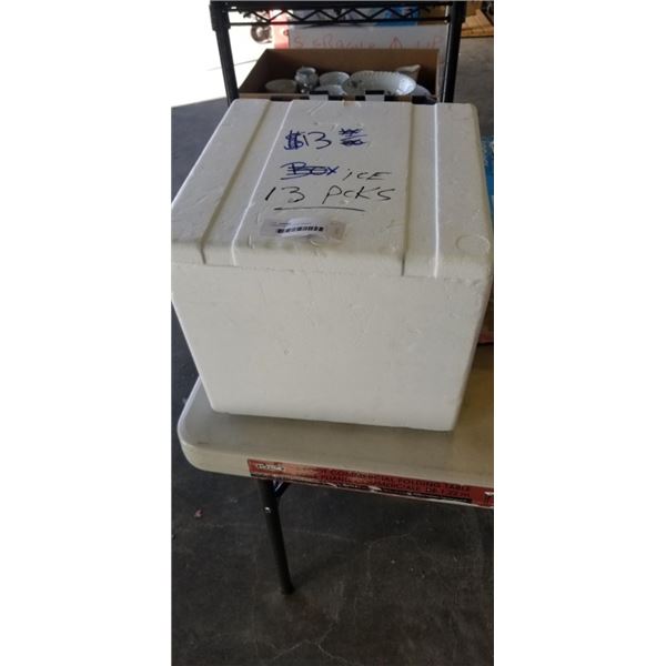 COOLER WITH 13 ICE PACKS