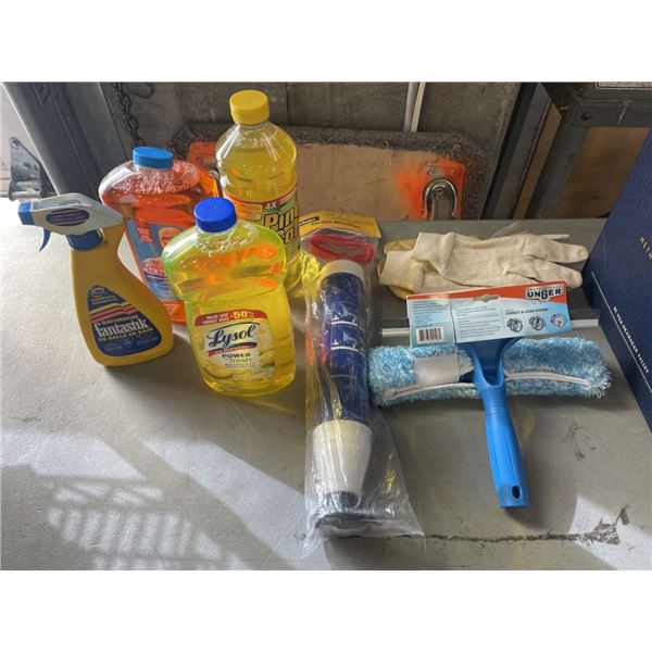 BOX OF CLEANING ITEMS