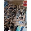 Image 2 : 4 VINTAGE PEST TRAPS