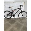 Image 1 : GREY SAVAGE BIKE