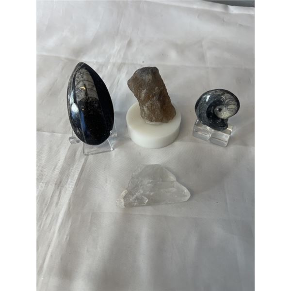 2 FOSSIL DISPLAYS, NATURAL CITRINE, AND CLEAR QUARTZ