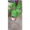 Image 3 : ARITIFICIAL PALM IN PLANTER