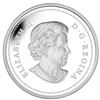 Image 2 : 2014 $20 MAPLE CANOPY: SPRING SPLENDOUR - PURE SILVER COIN