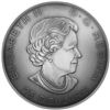 Image 2 : 2016 $25 The Library of Parliament - Pure Silver Coin