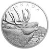 Image 1 : 2017 $125 CALL OF THE WILD: ELK - PURE SILVER HALF KILO COIN