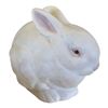 Image 1 : CYBIS - MR SNOWBALL