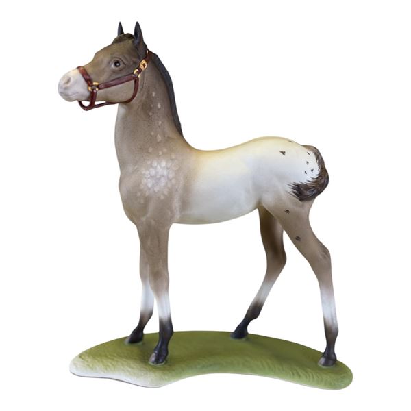 CYBIS - APPALOOSA COLT