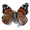 Image 1 : LORENZ - MONARCH BUTTERFLY