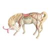 Image 1 : CYBIS - POPPY THE PERFORMING PONY
